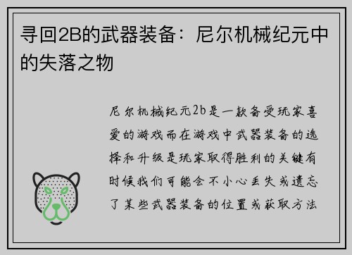 寻回2B的武器装备：尼尔机械纪元中的失落之物